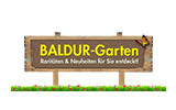BALDUR BALDUR